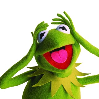 Muppets, The Picture 25