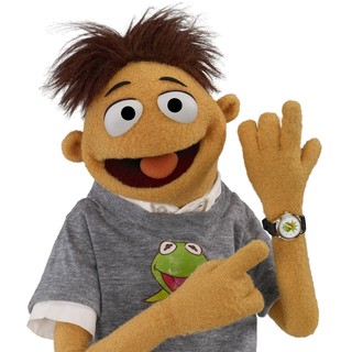 Muppets, The Picture 27