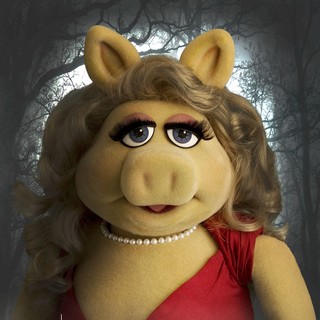 Muppets, The Picture 42