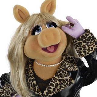 Muppets, The Picture 28