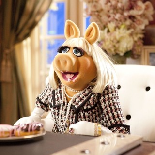 Muppets, The Picture 12