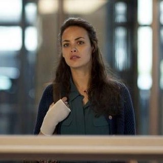 Berenice Bejo stars as Marie in Sony Pictures Classics' The Past (2013)