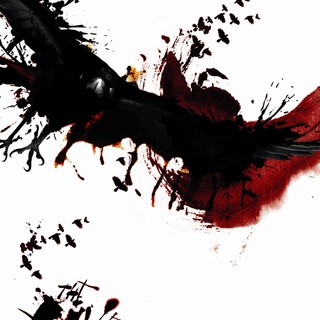 Raven, The Picture 3