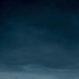 Revenant, The Picture 6
