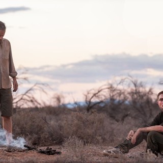 Rover, The Picture 10