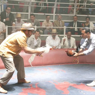 Rum Diary, The Picture 17