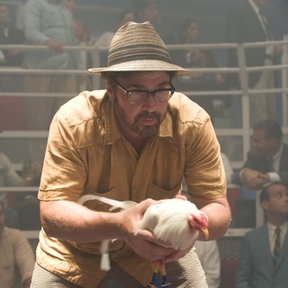 Rum Diary, The Picture 20