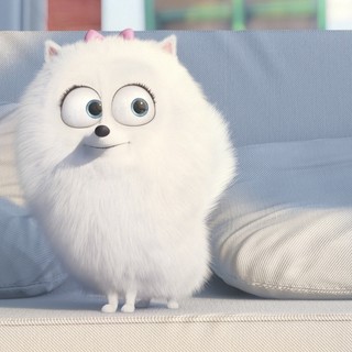Secret Life Of Pets, The Picture 7