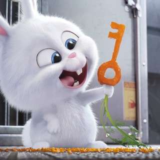 The Secret Life of Pets Picture 13