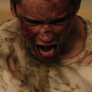 Signal (2014), The Picture 4