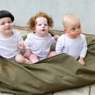 Three Stooges, The Picture 7