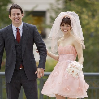 Vow, The Picture 11