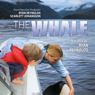 Poster of Paladin's The Whale (2011)
