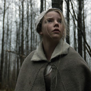 Witch, The Picture 2