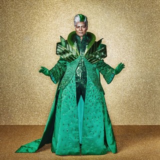 The Wiz Picture 16