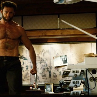 Wolverine, The Picture 20