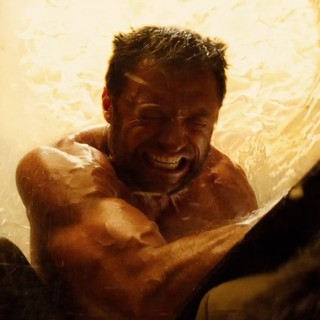 Wolverine, The Picture 26