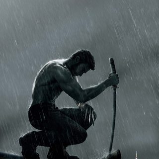 Wolverine, The Picture 3