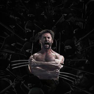 Wolverine, The Picture 11