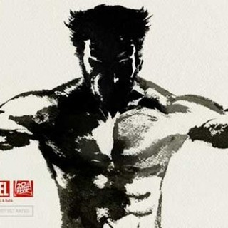 Wolverine, The Picture 13