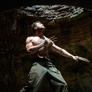 The Wolverine Picture 4