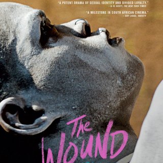 Wound, The Picture 1