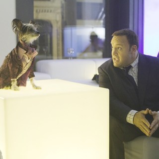 Zookeeper Picture 12