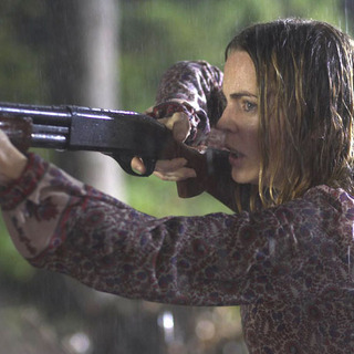 Amityville Horror, The Picture 11