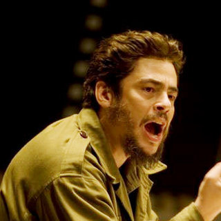 Argentine, The Picture 11