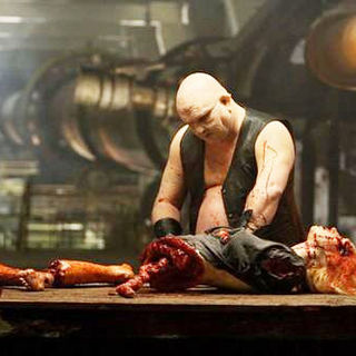 Bleeding, The Picture 8