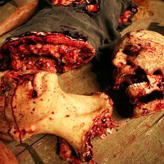 Bleeding, The Picture 10