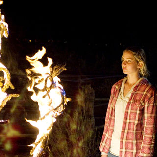 Burning Plain, The Picture 6