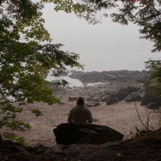 The Dulling Picture 3