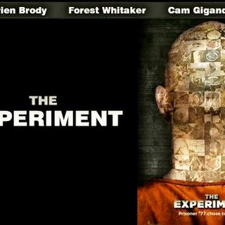 Experiment, The Picture 1