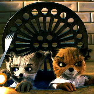 Fantastic Mr. Fox, The Picture 6