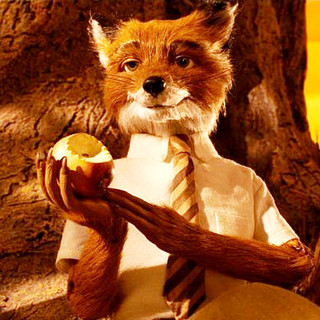 Fantastic Mr. Fox, The Picture 8