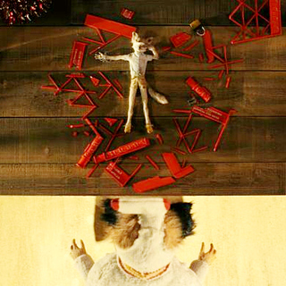 Fantastic Mr. Fox, The Picture 20