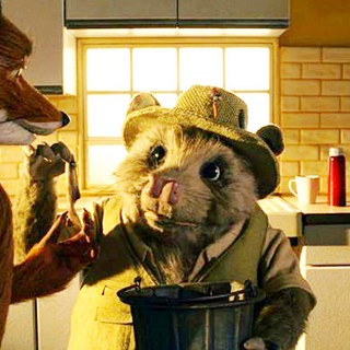 Fantastic Mr. Fox, The Picture 21