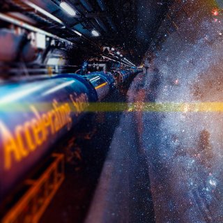 The Hadron Collider: In Search of the Peace Particle (2026)
