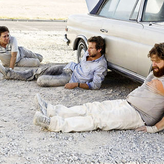 The Hangover Picture 12