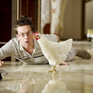 Hangover, The Picture 26