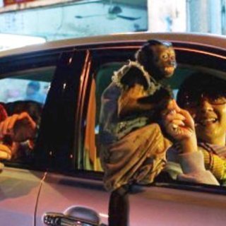 Hangover Part II, The Picture 35