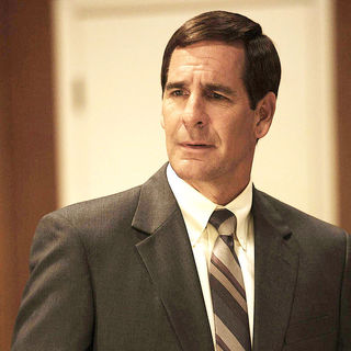 Informant!, The Picture 5