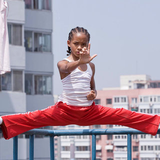 Karate Kid, The Picture 17