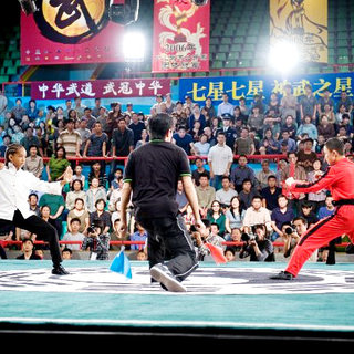 Karate Kid, The Picture 29