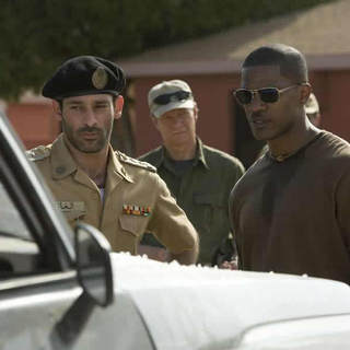 Kingdom, The Picture 6