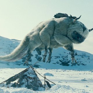 Last Airbender, The Picture 40