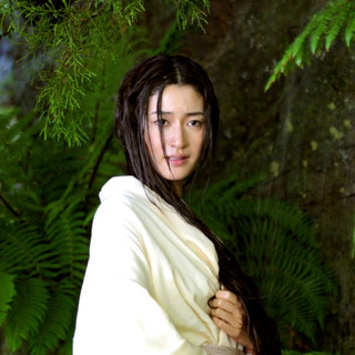 Last Samurai, The Picture 6
