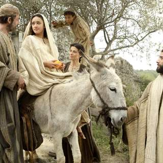 Nativity Story, The Picture 11