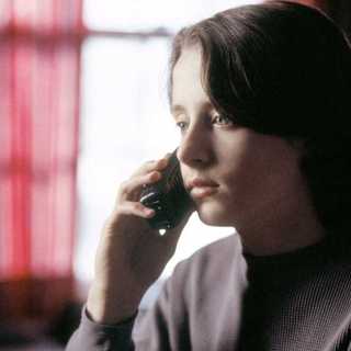 Night Listener, The Picture 4
